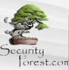 SecurityForestLogo.jpg
