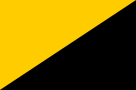 NathanLarsonForCongress.com wiki - anarcho-capitalist flag