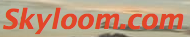 SkyloomLogo.png