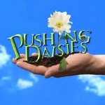 Pushingdaisies.jpg