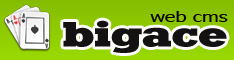 Bigace logo.jpg