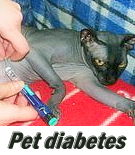 PetDiabetesWikiLogo.png