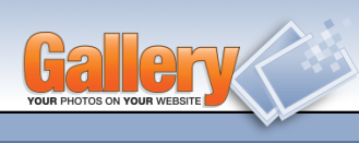 Gallery Codex wiki logo