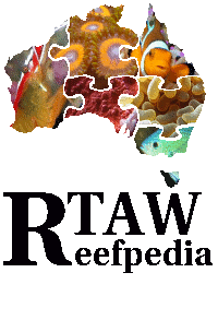 RTAW Reefpedia simple.gif