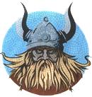 Vikings Wiki logo