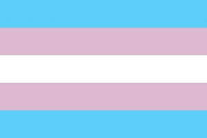 Trans* wiki.png