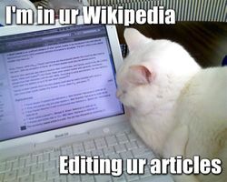 Lol wikipedia.jpg