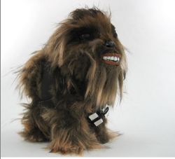 My Little Chewy.jpg